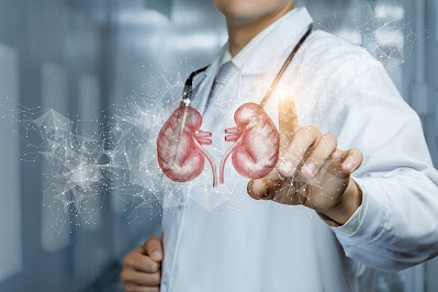 13 Ways To Keep Your Kidneys Healthy