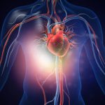 6 Practical Ways To Keeping Your Heart Healthy