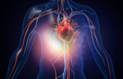 6 Practical Ways To Keeping Your Heart Healthy