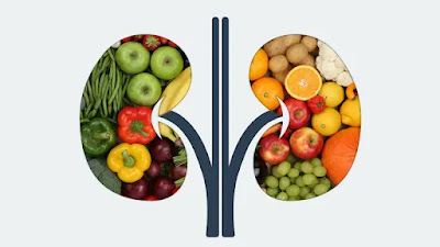 6 Kidney Friendly Foods To Eat For Kidney Disease Patients