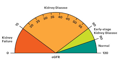 What are the stages of Nephropathy