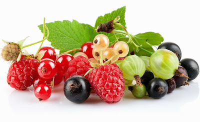 Chronic Kidney disease