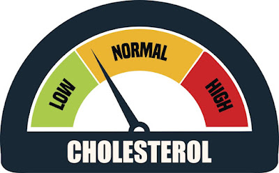 High-Cholesterol Impacts On Your Kidneys