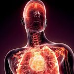 Reducing Body Inflammation To Manage Or Prevent Diabetes