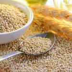How Quinoa Helps Manage T2 Diabetes As Well As Prevent It