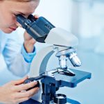 A New 3-D Model Sheds Light On The Function Of Sugar In Polycystic Kidney Disease