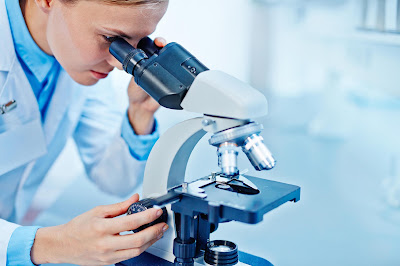 A New 3-D Model Sheds Light On The Function Of Sugar In Polycystic Kidney Disease