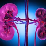 Many older Canadians are affected by chronic kidney disease.