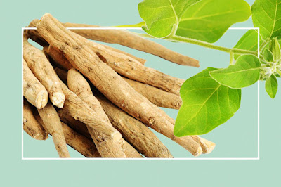 Herbal Supplements for Restful Sleep