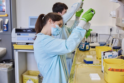 Diabetes Reversed In Mice After Scientists Hacked Human Cells To Produce Insulin