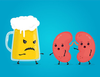 How Does Alcohol Affect The Kidneys?| Damage & Symptoms