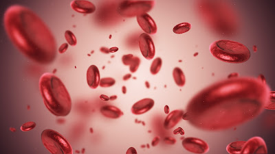 Anemia And Chronic Kidney Disease Correlation