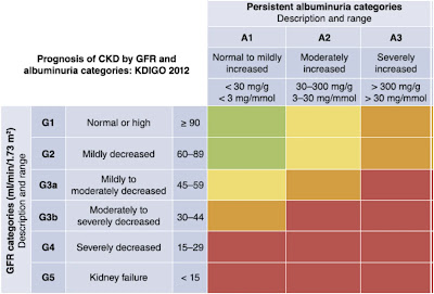 Stage 1 CKD health hazards