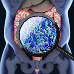 Exploring the Gut Microbiome in Relation to Diabetes