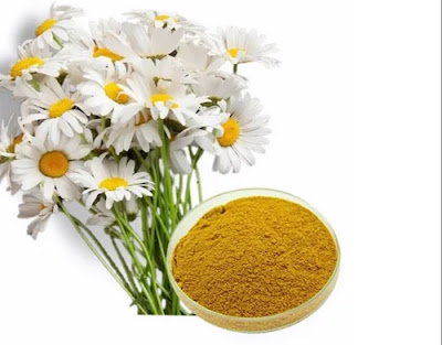 The Power of Chamomile Supplements for Sleep, Inflammation, and Digestive Health”