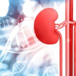 Unveiling the Impact of Genetics in Kidney Disease