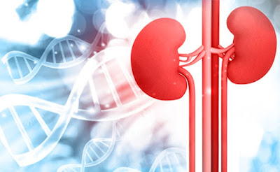 Unveiling the Impact of Genetics in Kidney Disease