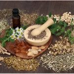 Herbal Remedies for Supporting Kidney Function: Natural Solutions for Optimal Kidney Health