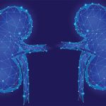 Understanding the Role of Key Hormones in Chronic Kidney Disease