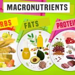 Macronutrients: Unveiling the Magic of Carbs, Proteins, and Fats
