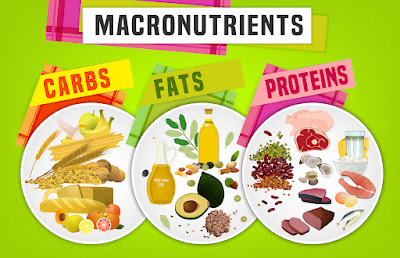 Macronutrients: Unveiling the Magic of Carbs, Proteins, and Fats
