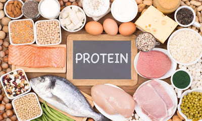 All You Need To Know About Protein