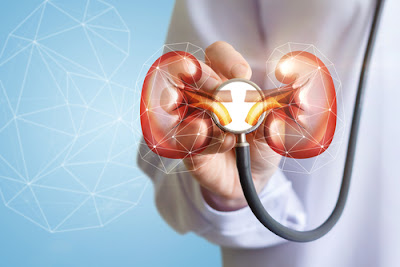 Navigating the Interplay Between Hypertension and Kidney Disease