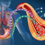 What is insulin resistance and how does it contribute to Type 2 diabetes?
