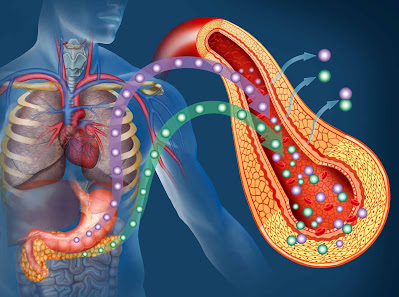 What is insulin resistance and how does it contribute to Type 2 diabetes?