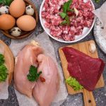 What Are The Pros and Cons Animal-Based Nutrition?