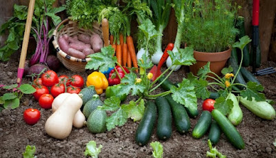 Benefits of Home Gardening for CKD Patients