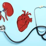 What is the Connection Between CKD and Cardiovascular Disease?