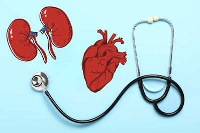 What is the Connection Between CKD and Cardiovascular Disease?