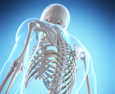 Understanding the Impact of Chronic Kidney Disease (CKD) on Bone Health