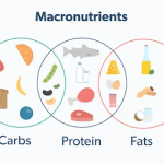Macronutrients and Digestive Health: The Role of Enzymes