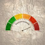 How to Manage Phosphorus Levels in Chronic Kidney Disease (CKD)
