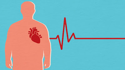 What is the Connection Between Diabetes and Heart Disease?