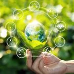 Introducing Eco: Your New Hub for Sustainable Living