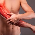 The Science of Muscle Recovery