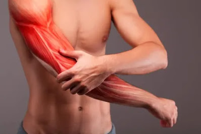 The Science of Muscle Recovery