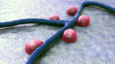 Insulin Cells Don’t Need to Team Up: New Research Shows Surprising Results
