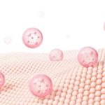 Understanding the Skin Barrier Function
