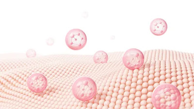 Understanding the Skin Barrier Function