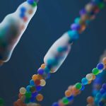 Exploring Genetic Markers in Early CKD Detection