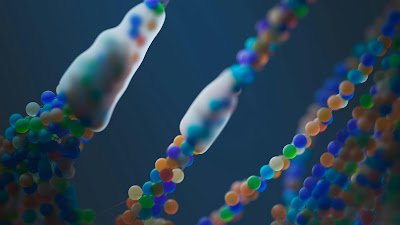 Exploring Genetic Markers in Early CKD Detection