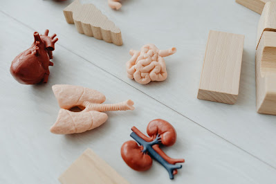 Chronic Kidney Disease and Hypertension: The Silent Link
