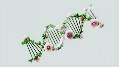 Understanding the Genetic Basis of CKD: A Deep Dive into Inherited Kidney Diseases