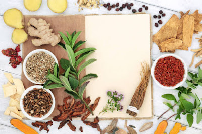 How to Promote Healthy Digestion Through Holistic Lifestyle Choices for Diabetics